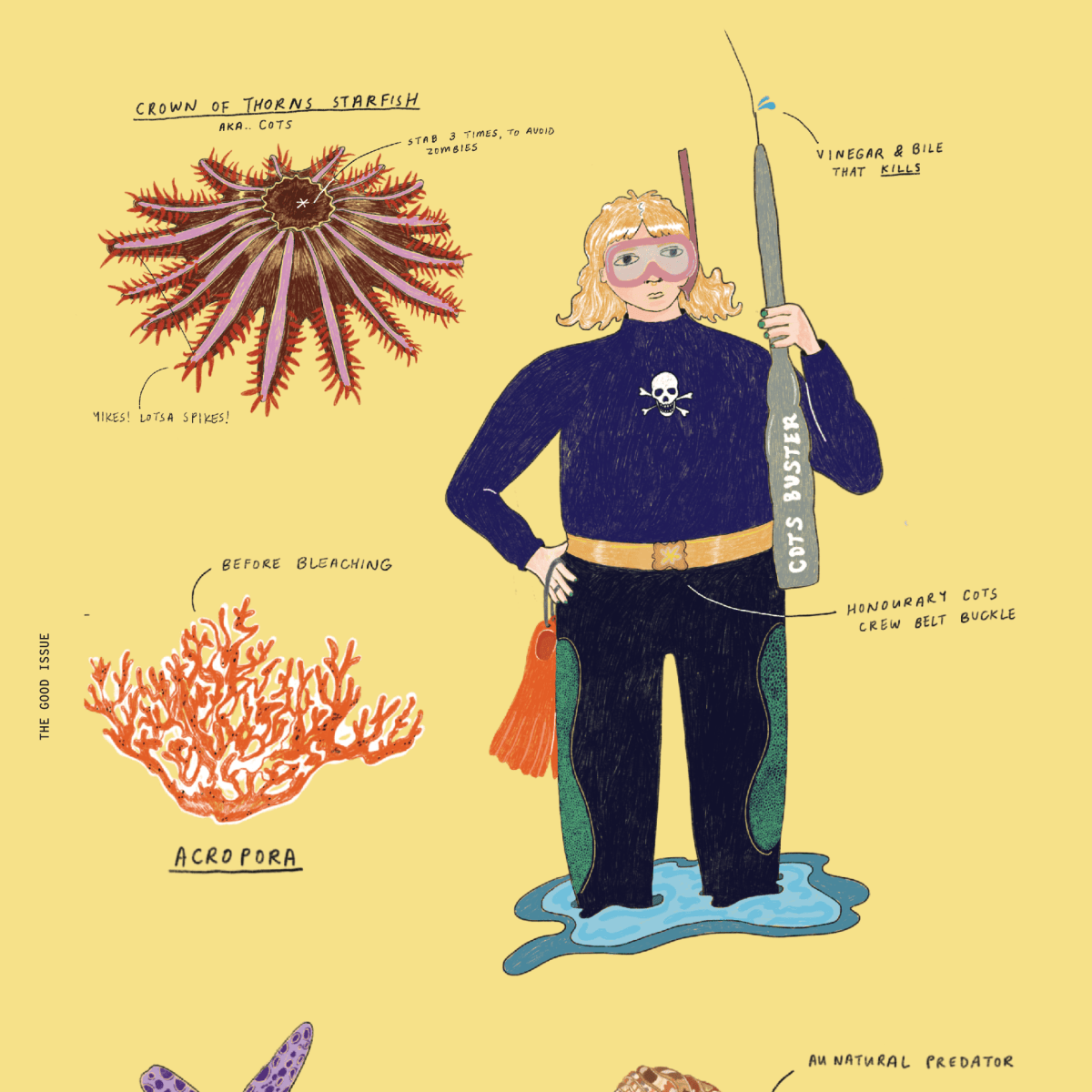 Deep Dive: The Angry Starfish Killing Our Coral – Esperanto Magazine